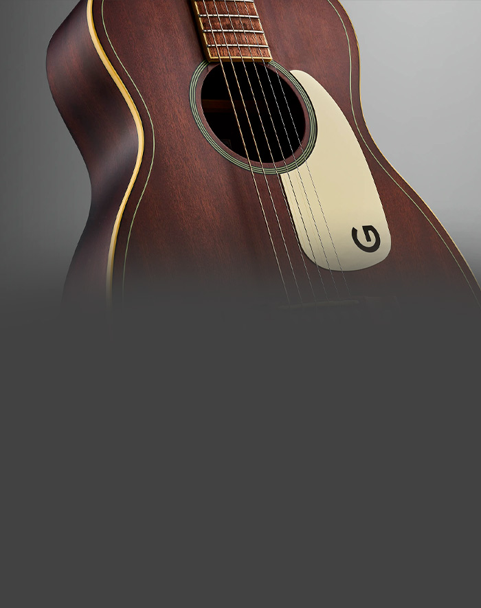 Gretsch jim dandy series Slide background